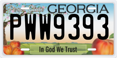 GA license plate PWW9393