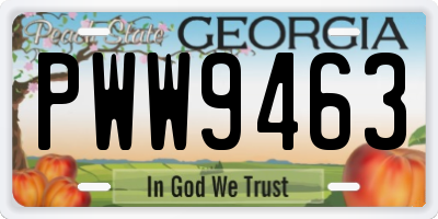 GA license plate PWW9463