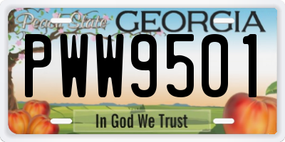 GA license plate PWW9501