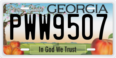 GA license plate PWW9507