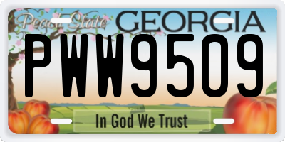 GA license plate PWW9509