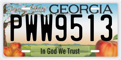 GA license plate PWW9513