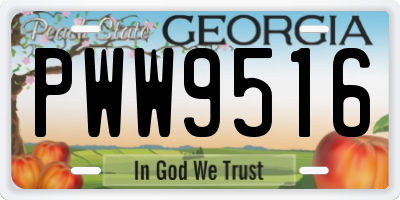 GA license plate PWW9516