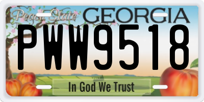 GA license plate PWW9518