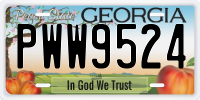 GA license plate PWW9524