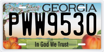 GA license plate PWW9530
