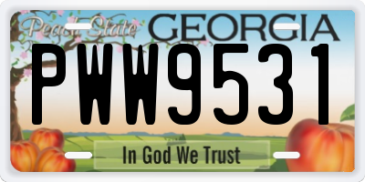 GA license plate PWW9531