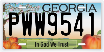 GA license plate PWW9541