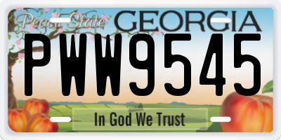 GA license plate PWW9545