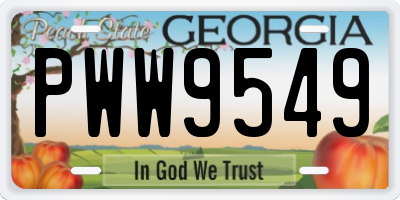 GA license plate PWW9549