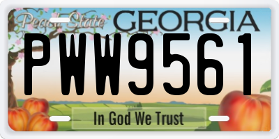 GA license plate PWW9561