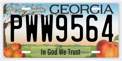 GA license plate PWW9564