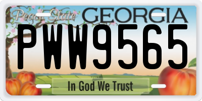 GA license plate PWW9565