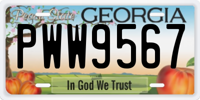 GA license plate PWW9567