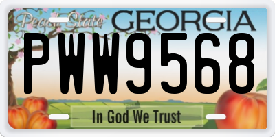 GA license plate PWW9568