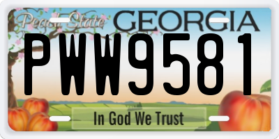 GA license plate PWW9581