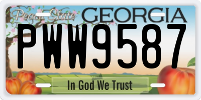 GA license plate PWW9587
