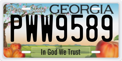 GA license plate PWW9589