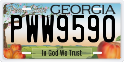 GA license plate PWW9590