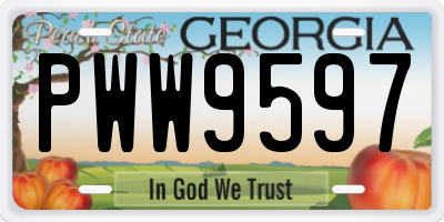 GA license plate PWW9597
