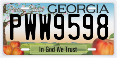 GA license plate PWW9598