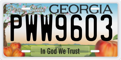 GA license plate PWW9603