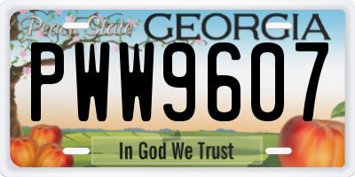 GA license plate PWW9607