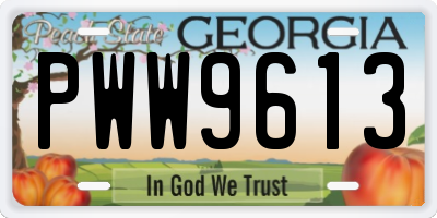 GA license plate PWW9613