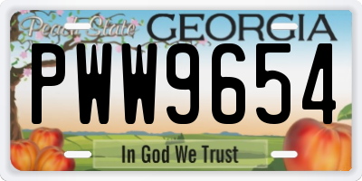 GA license plate PWW9654