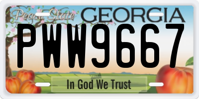 GA license plate PWW9667