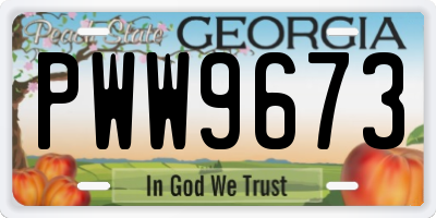 GA license plate PWW9673