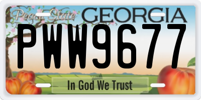 GA license plate PWW9677