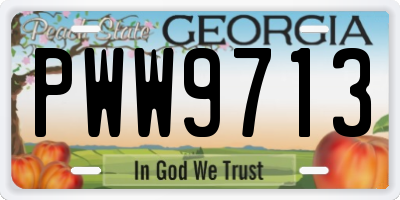 GA license plate PWW9713