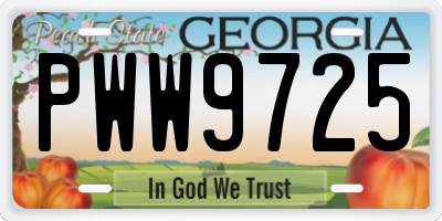 GA license plate PWW9725