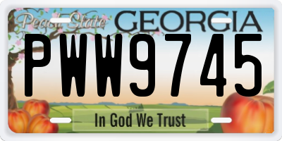 GA license plate PWW9745
