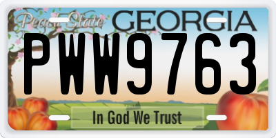 GA license plate PWW9763
