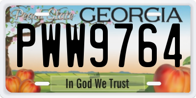 GA license plate PWW9764