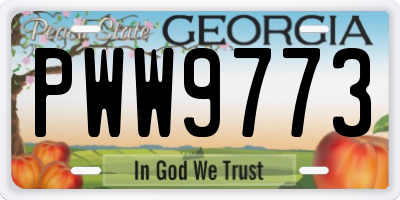 GA license plate PWW9773
