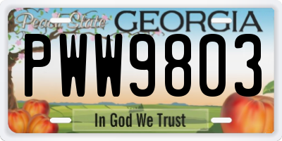 GA license plate PWW9803