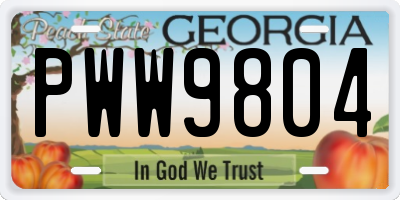 GA license plate PWW9804