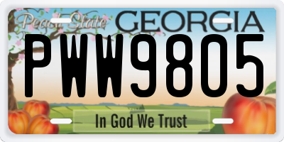 GA license plate PWW9805