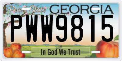 GA license plate PWW9815