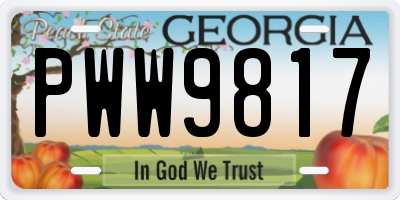 GA license plate PWW9817