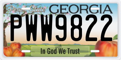 GA license plate PWW9822