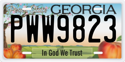 GA license plate PWW9823