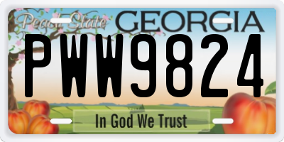 GA license plate PWW9824