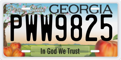 GA license plate PWW9825