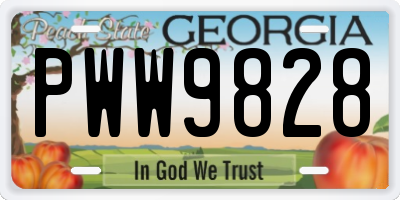 GA license plate PWW9828