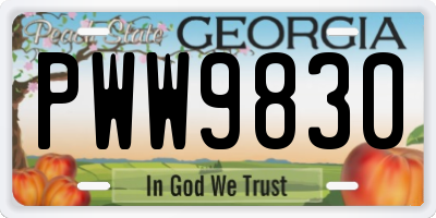 GA license plate PWW9830
