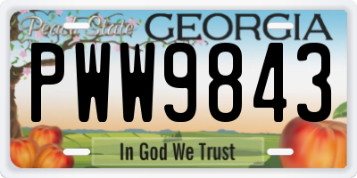GA license plate PWW9843